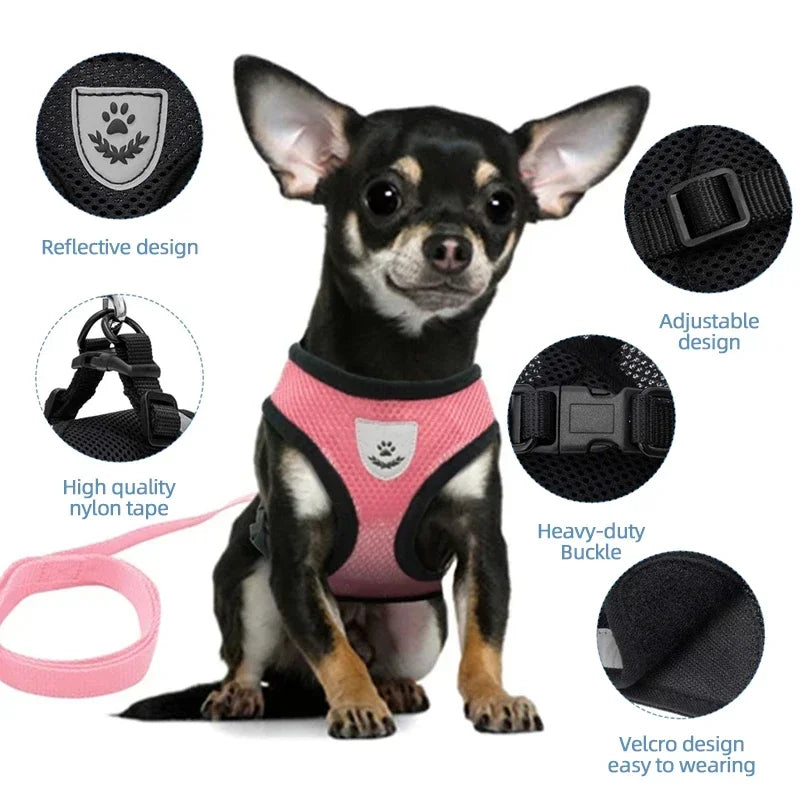 Pets Walking Harness Vest - Nordic Ease