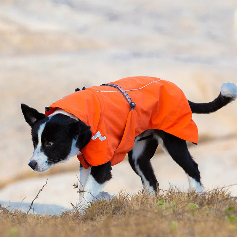 Pet Waterproof Windbreaker - Nordic Ease