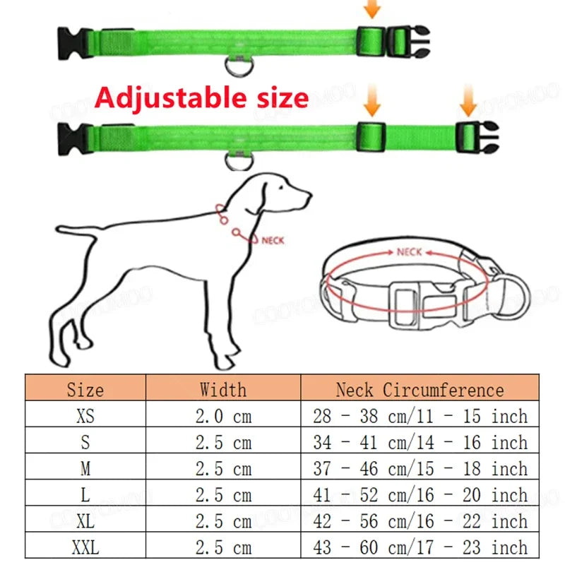 Pet collar LED USB charge - Nordic Ease