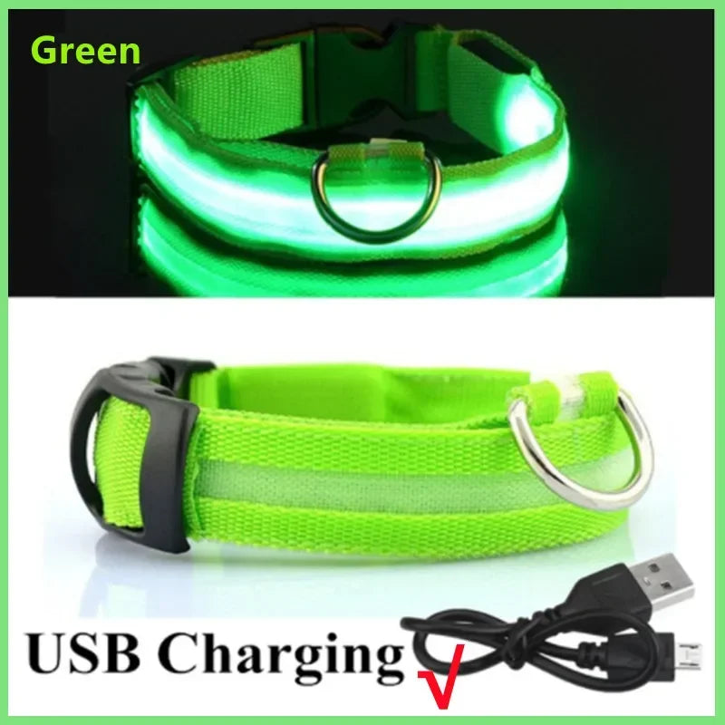 Pet collar LED USB charge - Nordic Ease