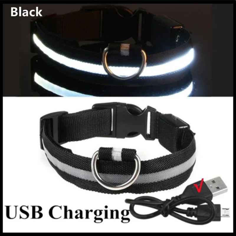 Pet collar LED USB charge - Nordic Ease