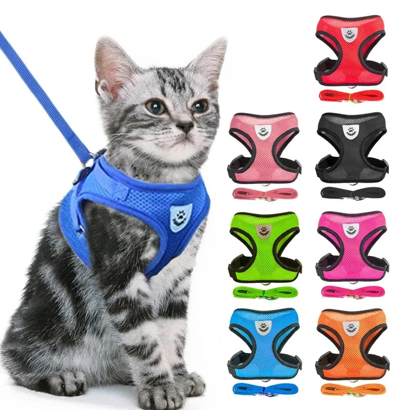 Pets Walking Harness Vest - Nordic Ease
