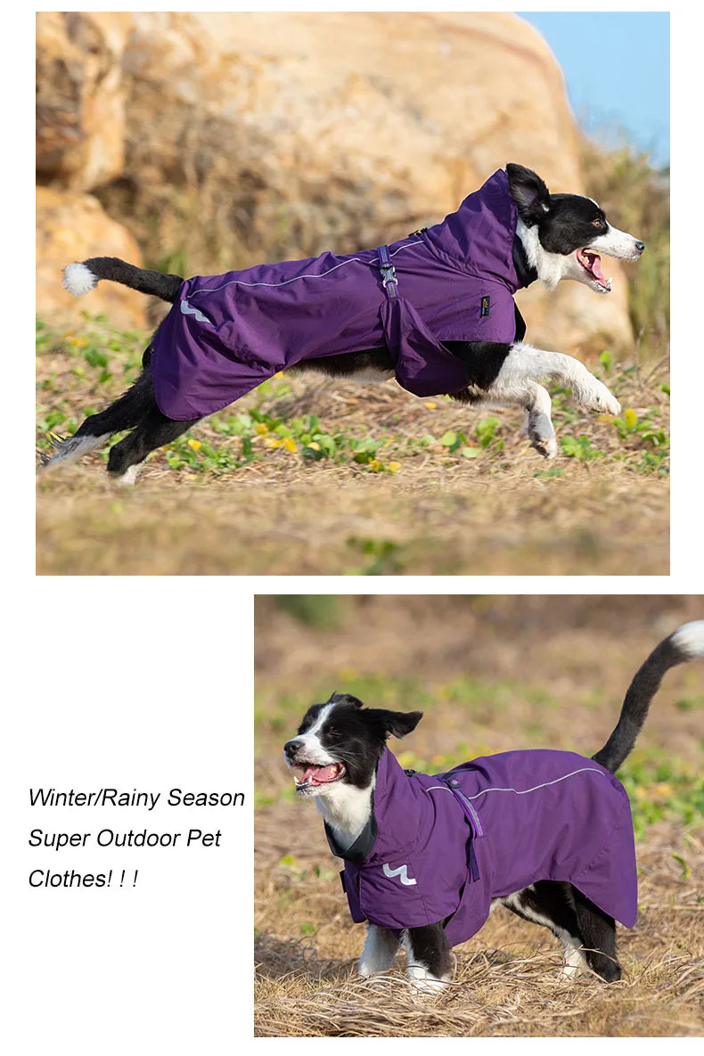Pet Waterproof Windbreaker - Nordic Ease