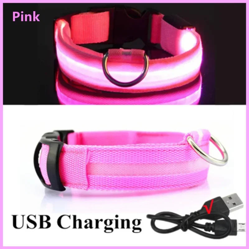 Pet collar LED USB charge - Nordic Ease