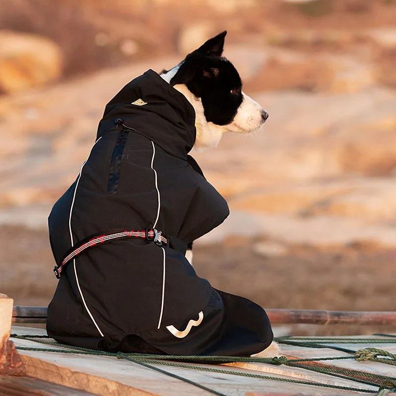 Pet Waterproof Windbreaker - Nordic Ease