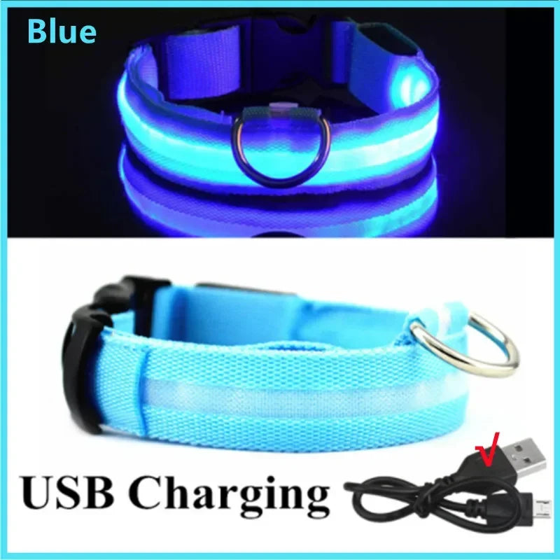 Pet collar LED USB charge - Nordic Ease