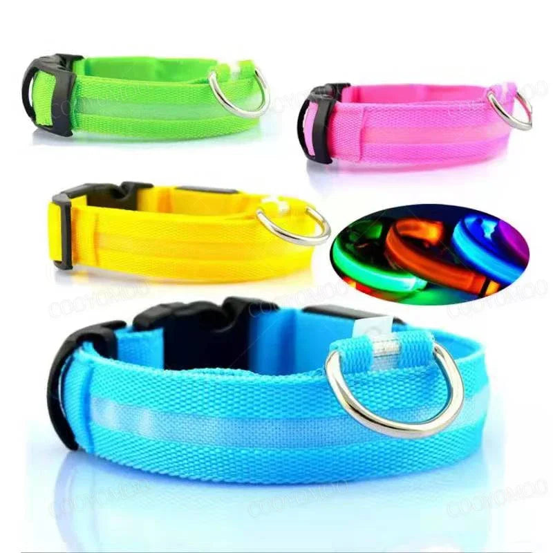 Pet collar LED USB charge - Nordic Ease